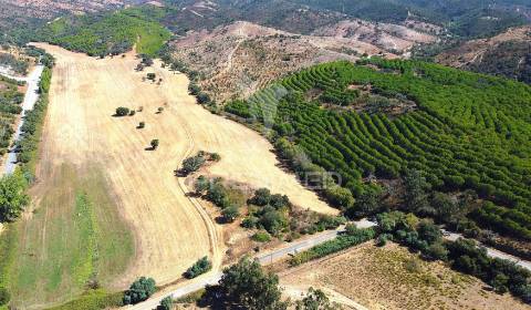 Herdade com 625,77ha em odemira