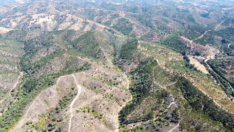 Herdade com 625,77ha em odemira