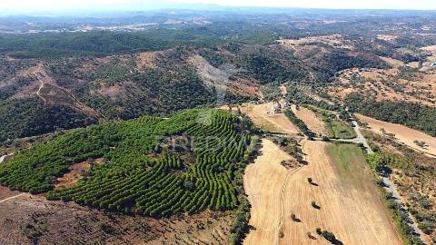 Herdade com 625,77ha em odemira