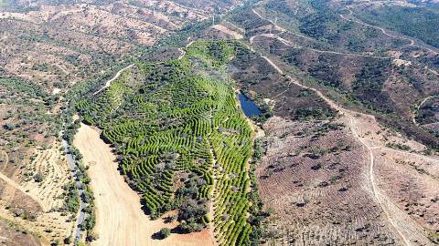 Herdade com 625,77ha em odemira