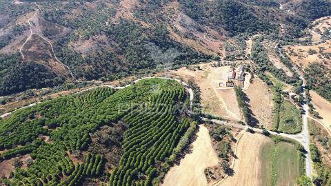 Herdade com 625,77ha em odemira
