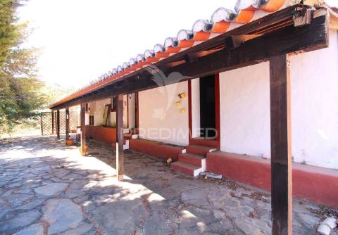 Herdade com 625,77ha em odemira