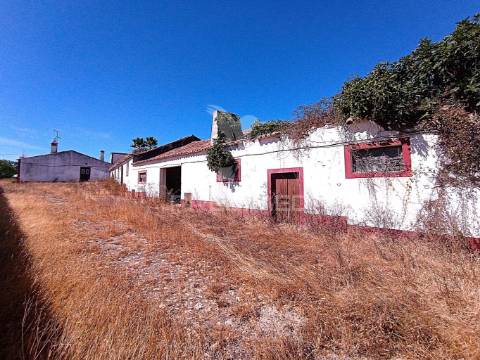 Herdade com 625,77ha em odemira