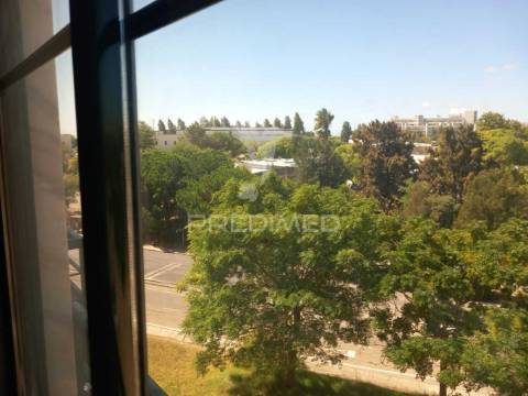 T2 renovado monte junto á universidade