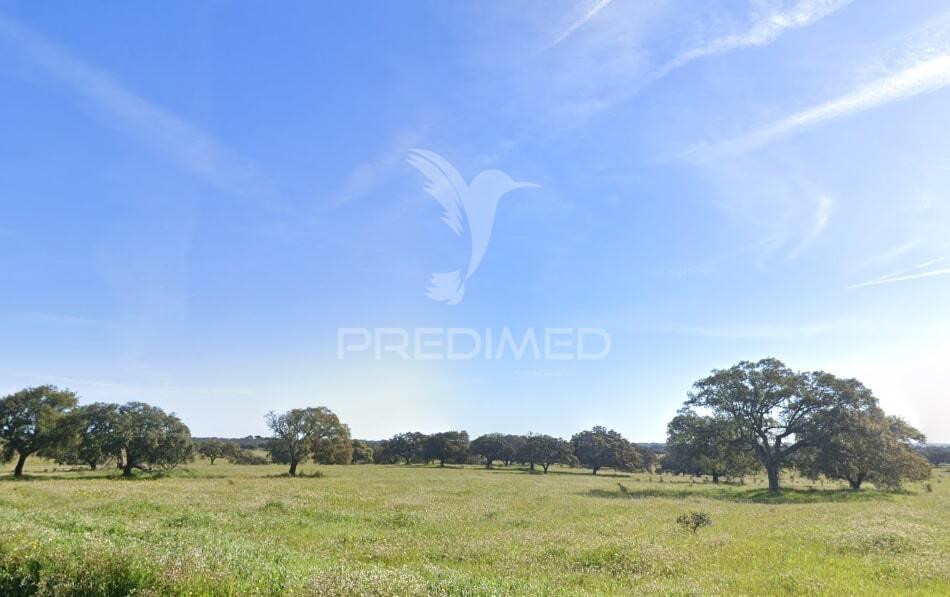 Herdade 170 ha mombeja - beja