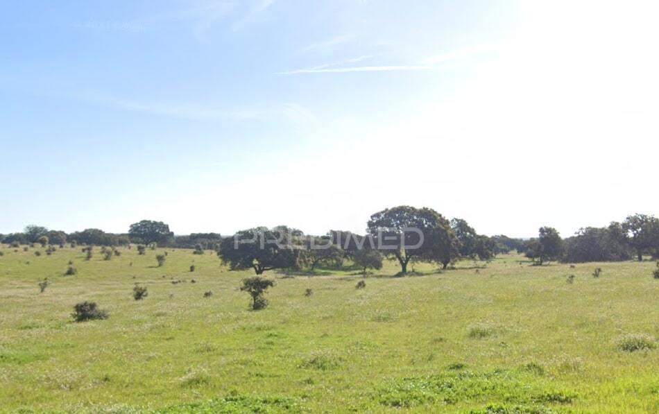 Herdade 170 ha mombeja - beja