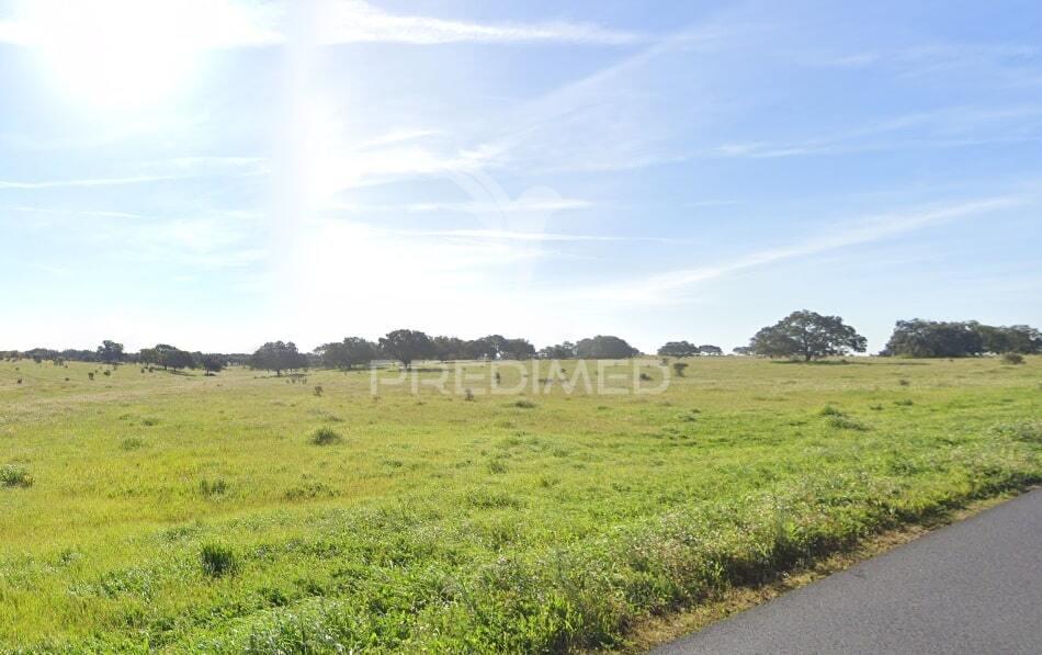 Herdade 170 ha mombeja - beja