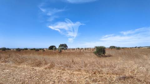Terreno agrícola de sequeiro para venda – 12 hectares