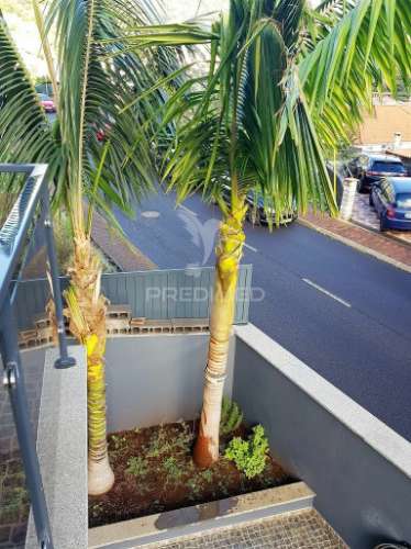 Excelente moradia t2 + 1 cidade de machico
