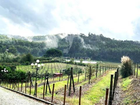 Quinta vale da peneda azul