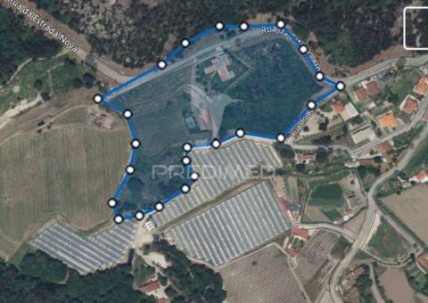 Quinta vale da peneda azul