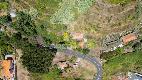 Terreno caniço