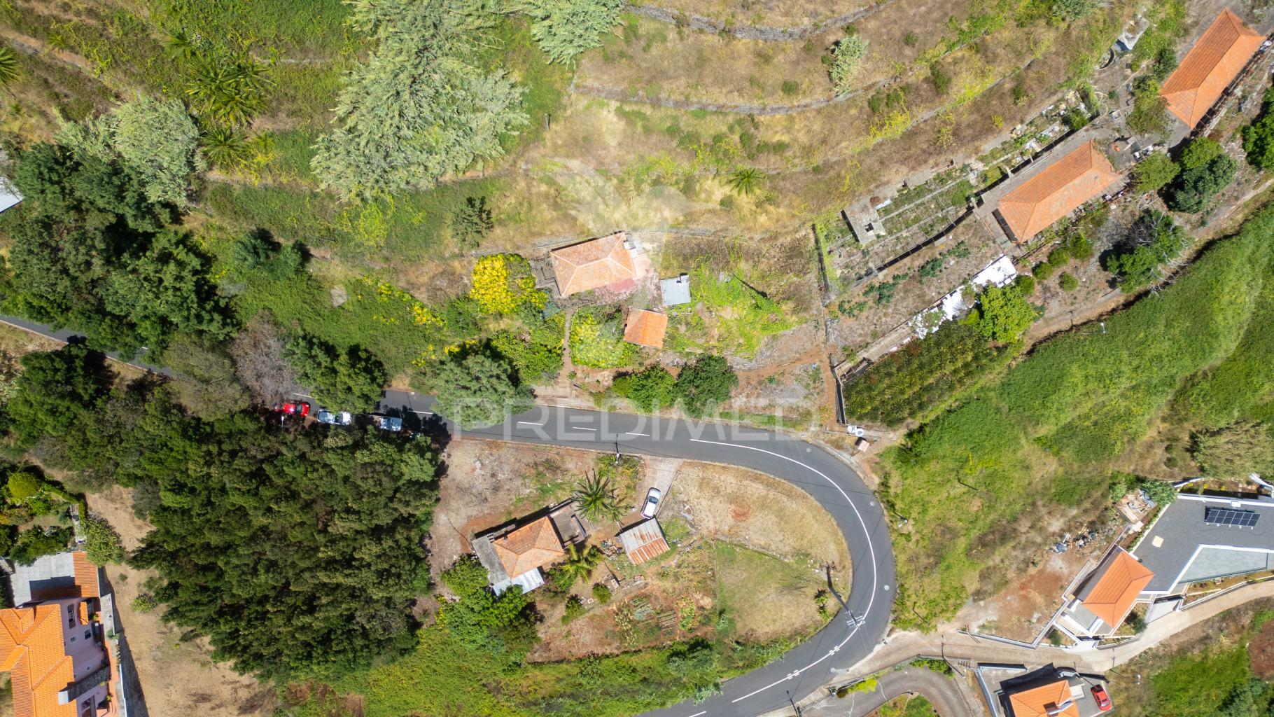 Terreno caniço