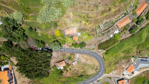 Terreno caniço