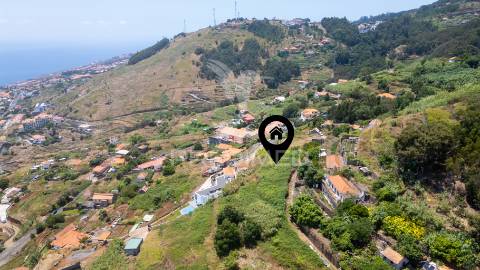 Terreno caniço