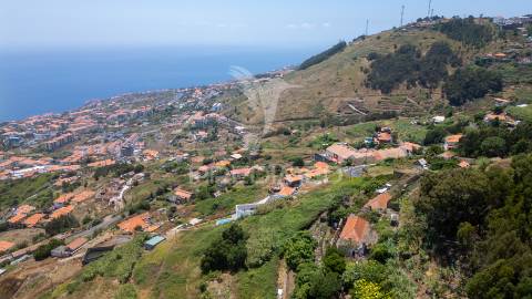 Terreno caniço