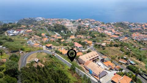 Terreno caniço
