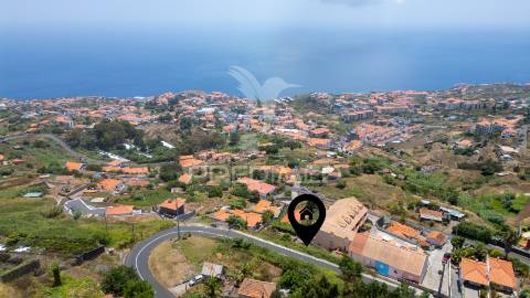 Terreno caniço