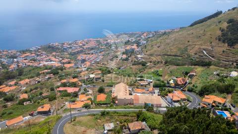 Terreno caniço
