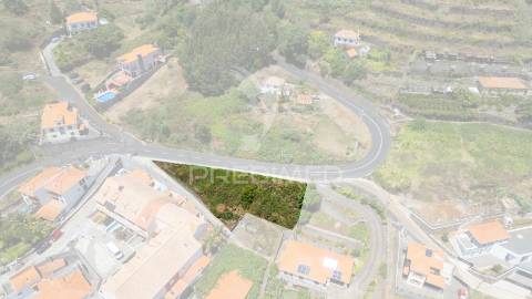 Terreno caniço