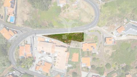 Terreno caniço