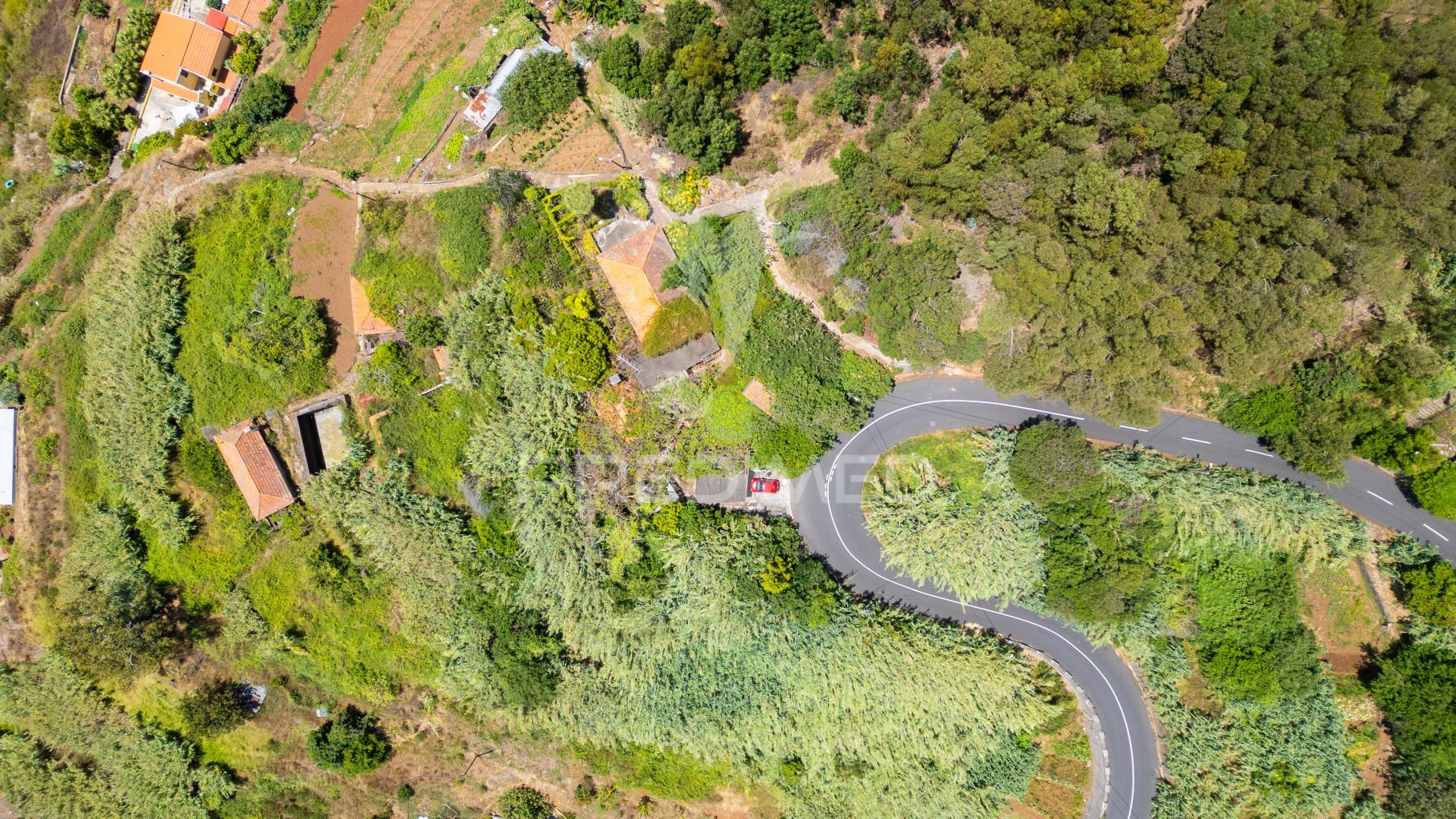 Terreno caniço