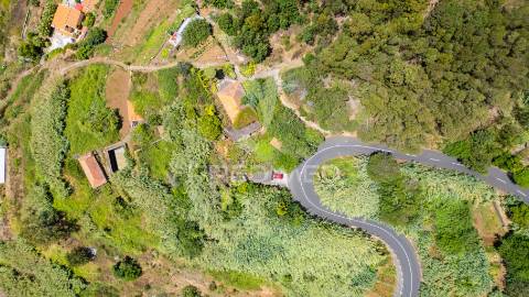 Terreno caniço