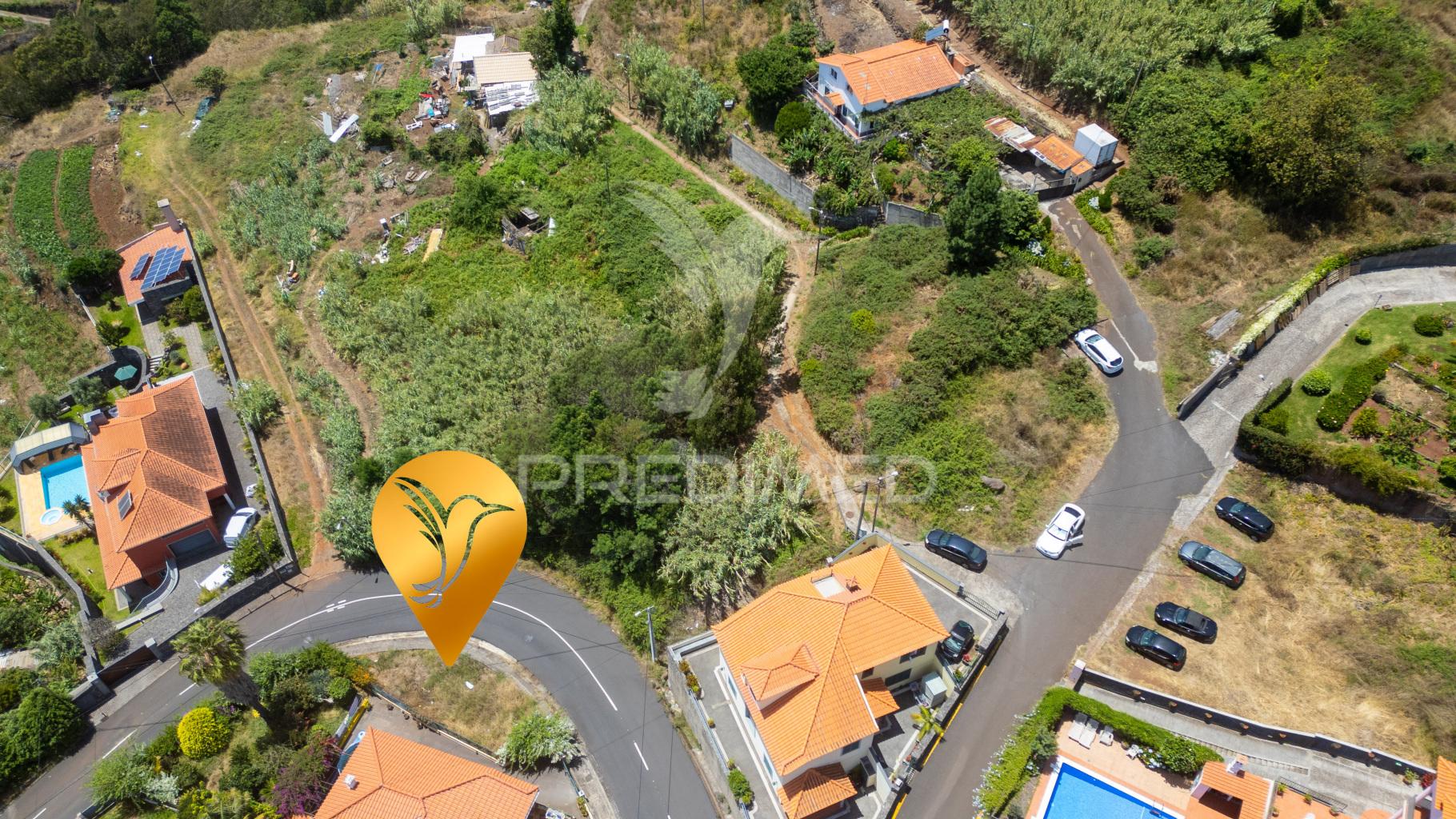 Terreno caniço