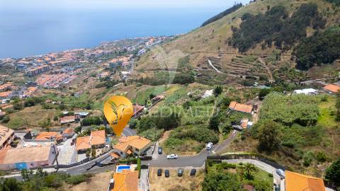 Terreno caniço