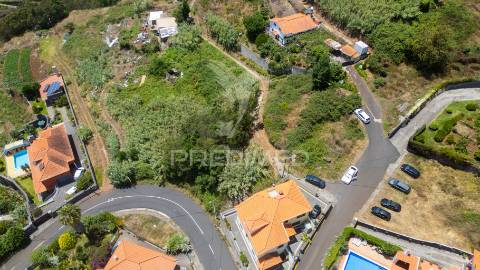 Terreno caniço