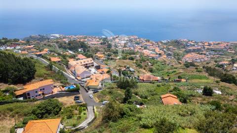 Terreno caniço