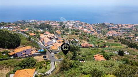 Terreno caniço