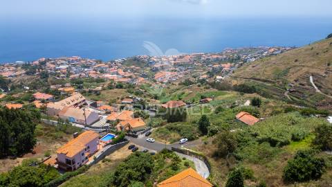 Terreno caniço