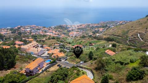 Terreno caniço