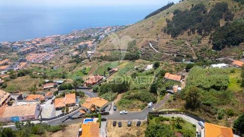 Terreno caniço