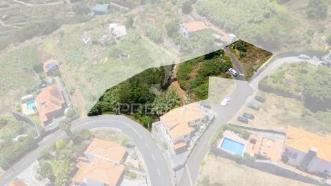 Terreno caniço