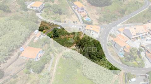 Terreno caniço