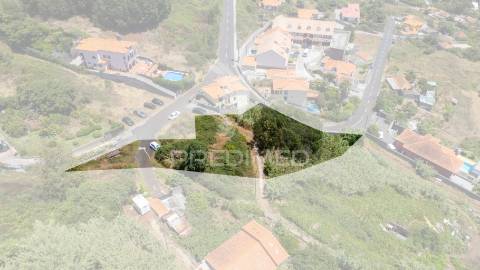 Terreno caniço