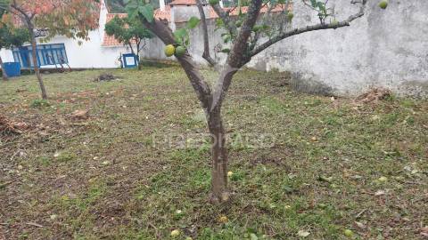 Lote de terreno urbano, canal, abrã, santarém.