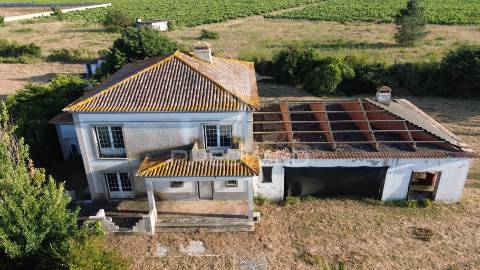⭐ quinta senhorial com 10.000 m² e armazém licenciado — oportunidade única às portas de lisboa