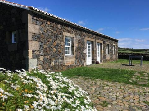 Quinta de agroturismo – natureza, tradição e romantismo