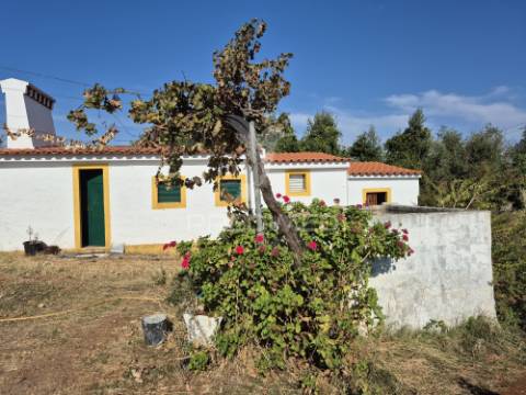 Terreno rustico