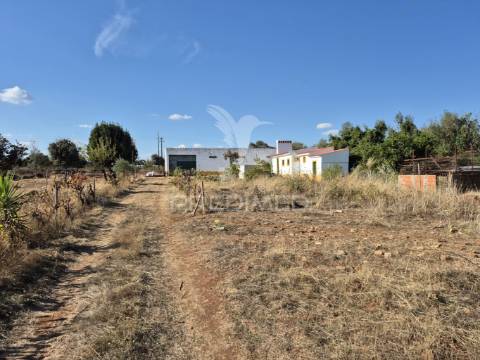 Terreno rustico