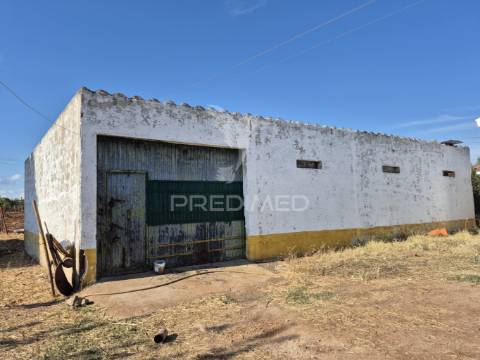 Terreno rustico