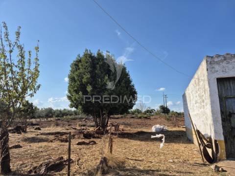 Terreno rustico