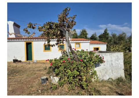 Terreno rustico