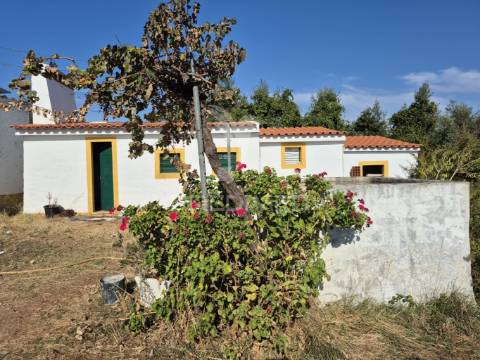 Terreno rustico