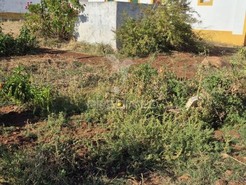 Terreno rustico