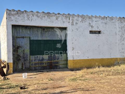Terreno rustico
