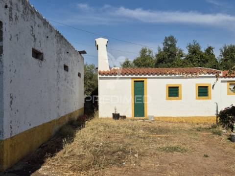 Terreno rustico